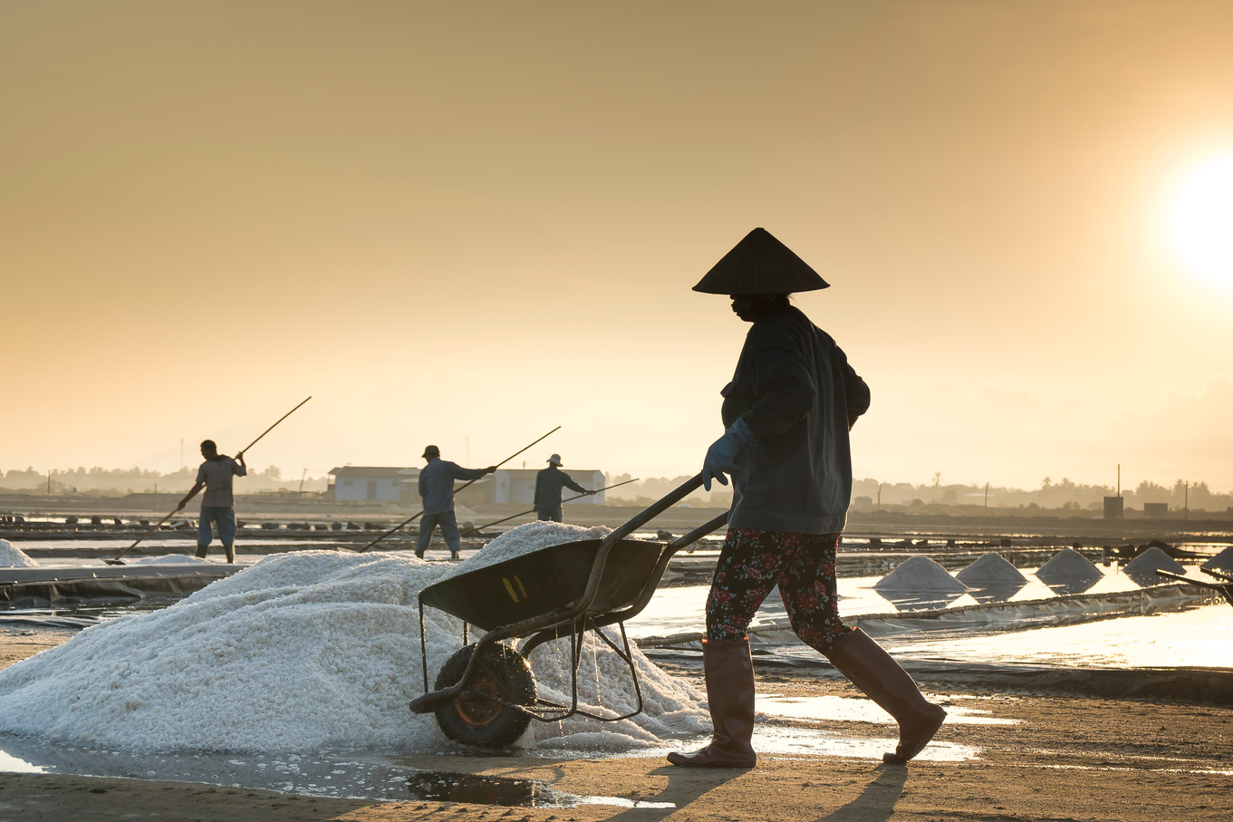 Man Pushing Wheelbarrow